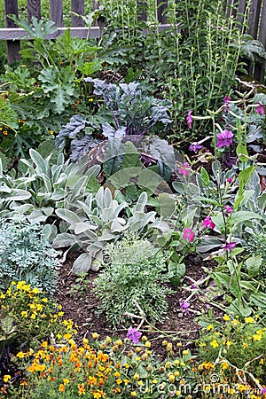 Mixture vegetable and flowers garden bed