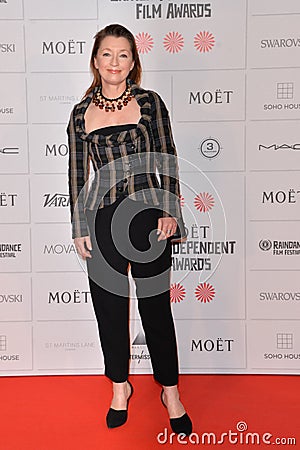 Moët British Independent Film Awards 2014