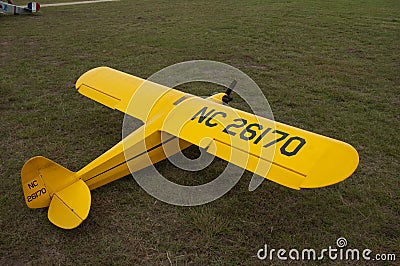 Piper Cub model airplane show