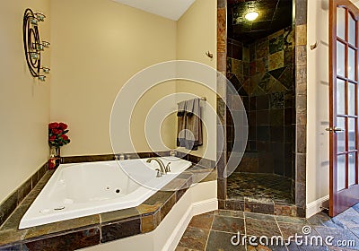 Modern bathroom interior with tile shower trim