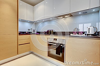 Modern contemporary kitchen