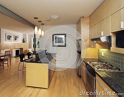 Modern contemporary kitchen