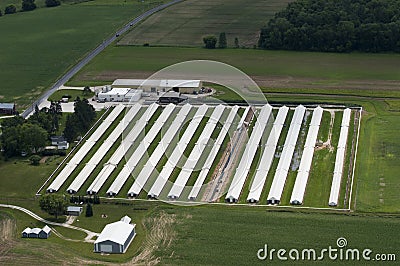 Modern Corporate Dairy Farm Pole Barns Aerial View