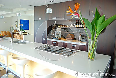 Modern designer kitchen