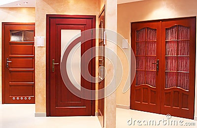 Modern doors