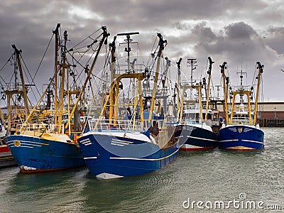 Modern fishing fleet