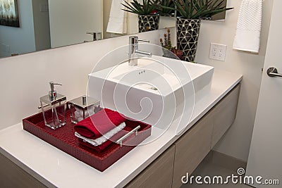 Modern Home Bathroom Sink