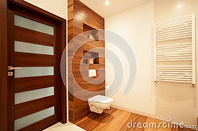 Modern house with wooden bathroom