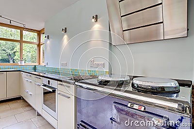 Modern kitchen with traditional oven