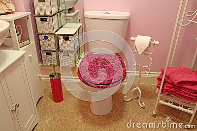 Modern luxury bathroom toilet suite