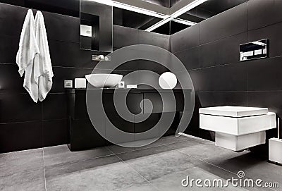 Modern minimalism style bathroom