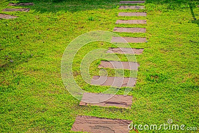 Modern Style Path Way with Grass