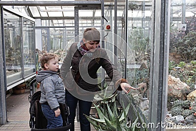 Mom tells son about cacti