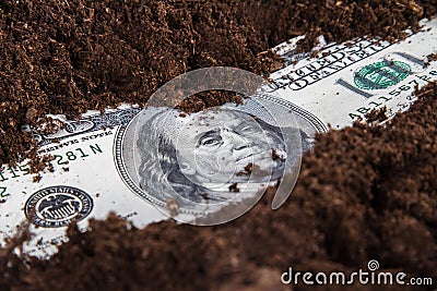 Money Growing in Soil