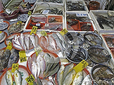 Mongkok wet market fishes