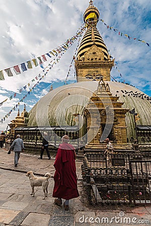 Monk with a dog in front of Monkey Temple.