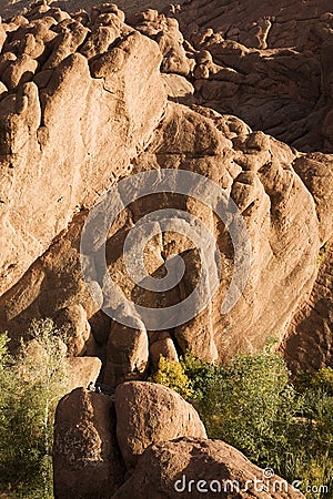 Monkey Fingers, Morocco