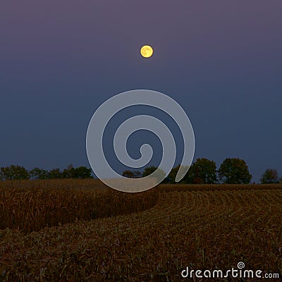 Moonlight at Harvest Time