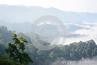 Morning mountain mist