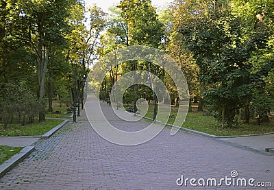 Morning at public green space