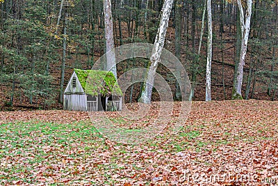 Moss covered roof and fall leaves covered field on a farm