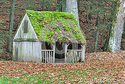 Moss covered roof and fall leaves covered field on a farm