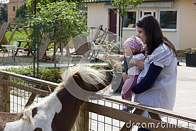 Mother and baby at animals farm