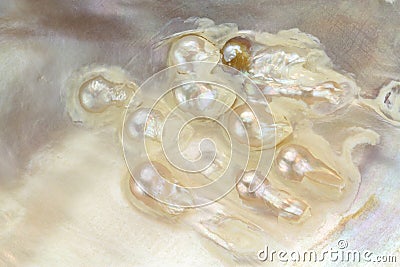 Mother of pearl with real pearls