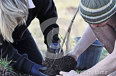 Mother & son planting a new young tree together ou