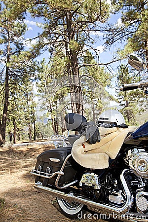 Motorcycle with riding gloves and jacket in forest setting