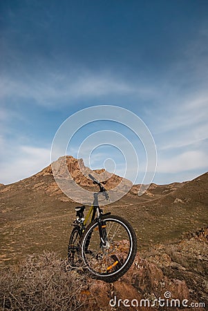 Mountain bicycle