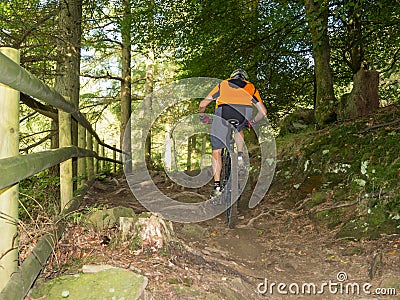 Mountain biker riding trails in Wales