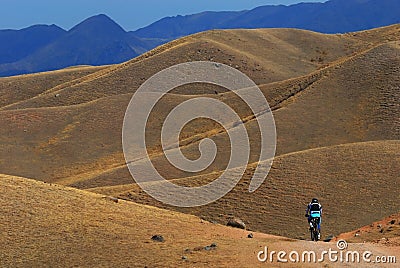 Mountain biker on road in desert mountain