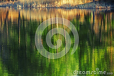 Mountain lake, tree reflection