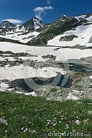 Mountain landscape with crystal river.