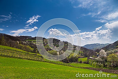 Mountain landscape in spring