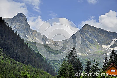 Mountain landscape in summer