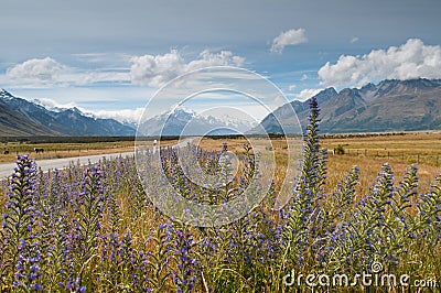 Mountain scape of Mt. Cook, New Zealand