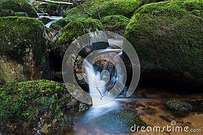 Mountain Stream