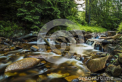 Mountain stream