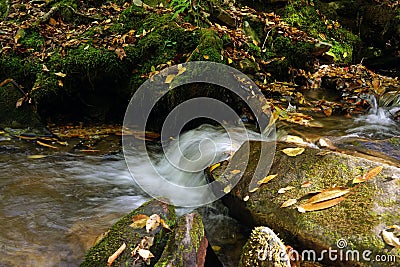 Mountain stream