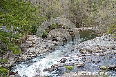 Mountain Stream