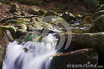 Mountain stream in the spring