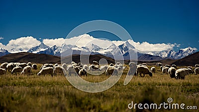 Mountains and lake in Qinghai-Tibet Plateau