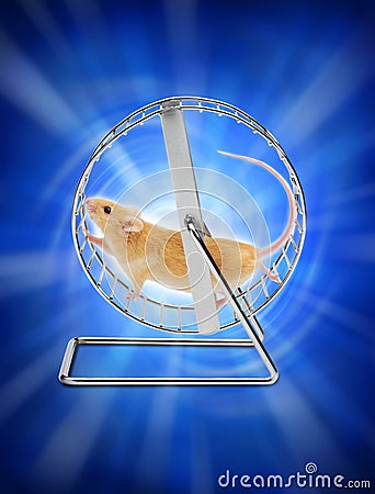 Mouse Hamster Exercise Wheel