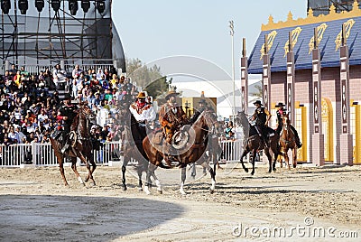 Muharraq horse riding school performs, Bahrain