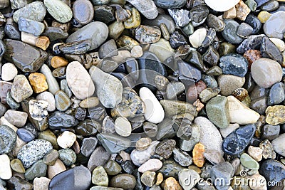 Multicolored sea pebbles background