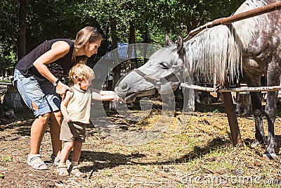 Mum with two-year child feed horse
