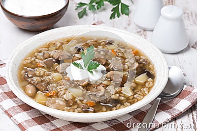 Mushroom soup with vegetables and pearl barley