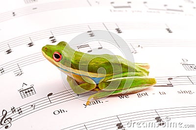 Musical frog